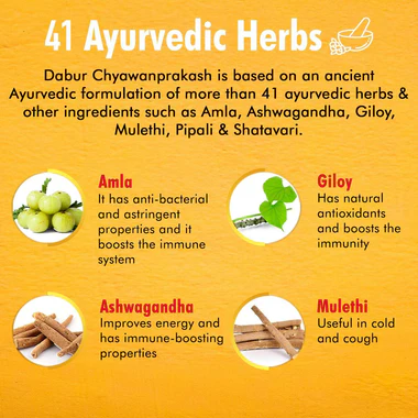 Dabur Chyawanprakash Sugarfree – Immunity & Wellness Boost 2 Dabur Chyawanprakash Sugarfree 2