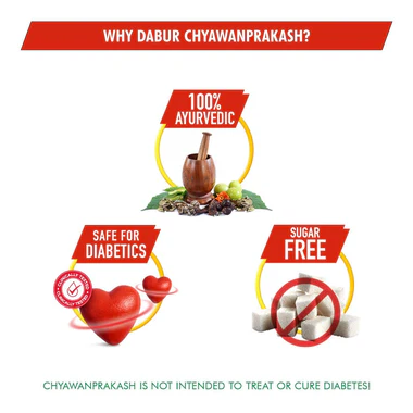 Dabur Chyawanprakash Sugarfree – Immunity & Wellness Boost 3 Dabur Chyawanprakash Sugarfree 3