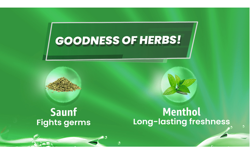 Himalaya Active Fresh Saunf Mouthwash – Herbal Oral Care 2 Himalaya Active Fresh Saunf Mouthwash 2