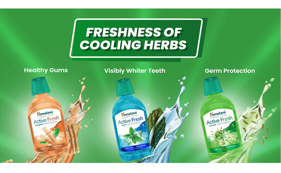 Himalaya Active Fresh Saunf Mouthwash – Herbal Oral Care 4 Himalaya Active Fresh Saunf Mouthwash 4