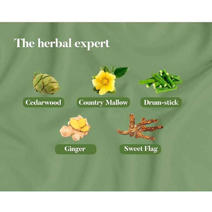 Himalaya Pain Relief Oil 4