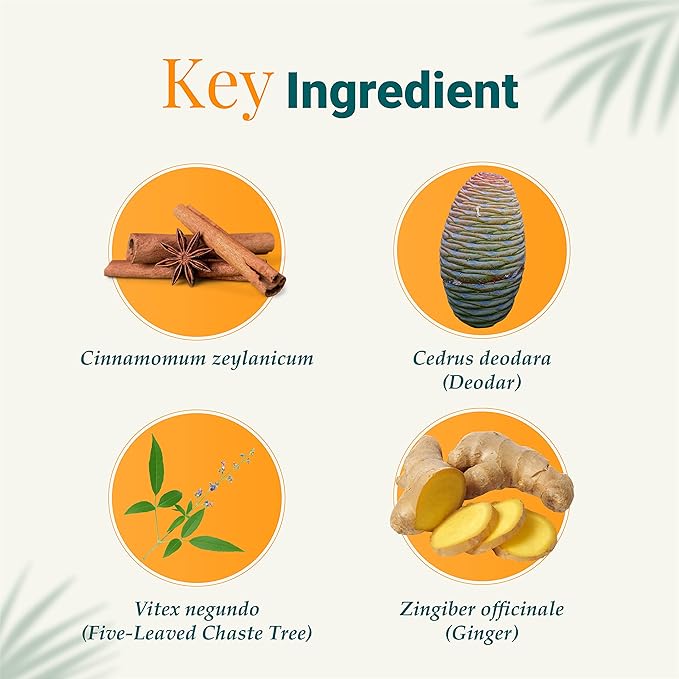 Himalaya Rumalaya Pain Relief Gel| Quick relief from body pain| Ayurvedic | Gel  9