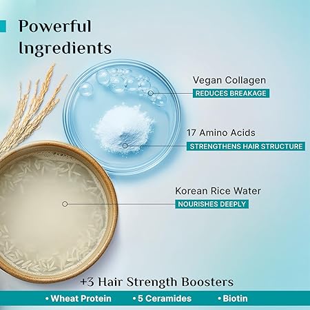 Pilgrim Korean Rice Water & Collagen Advanced Damage Repair Shampoo| with 17 Amino Acids, Wheat Protein & 5 Ceramides | Paraben-Free | For Dry & Damaged Hair | For Women and Men 5