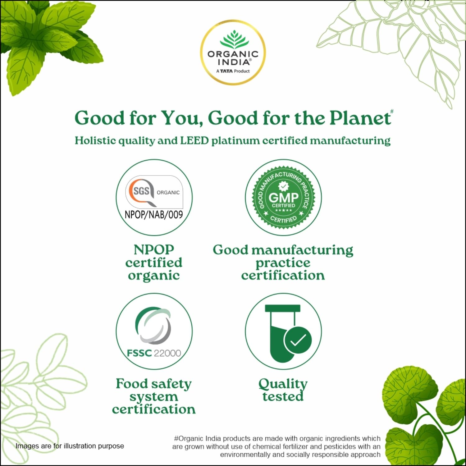 Organic India Moringa Powder – Energy, Immunity & Nutrition Support for Daily Wellness 7